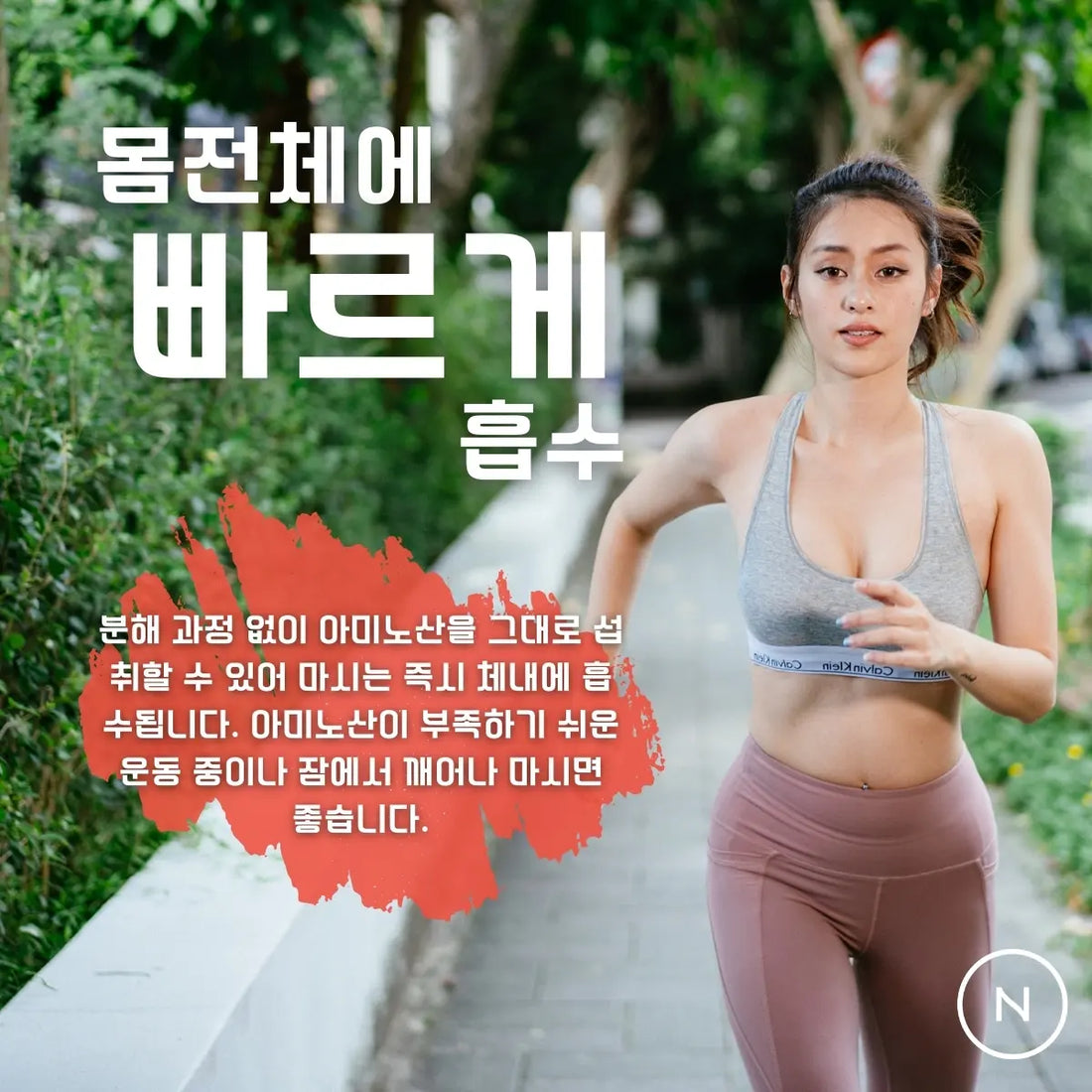 EAA와 BCAA: 주요 차이점과 기대할 수 있는 효과