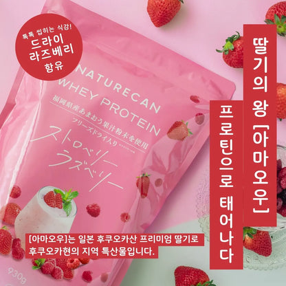 【기간 한정】웨이 프로틴(WPC) 라즈베리 & 스트로베리