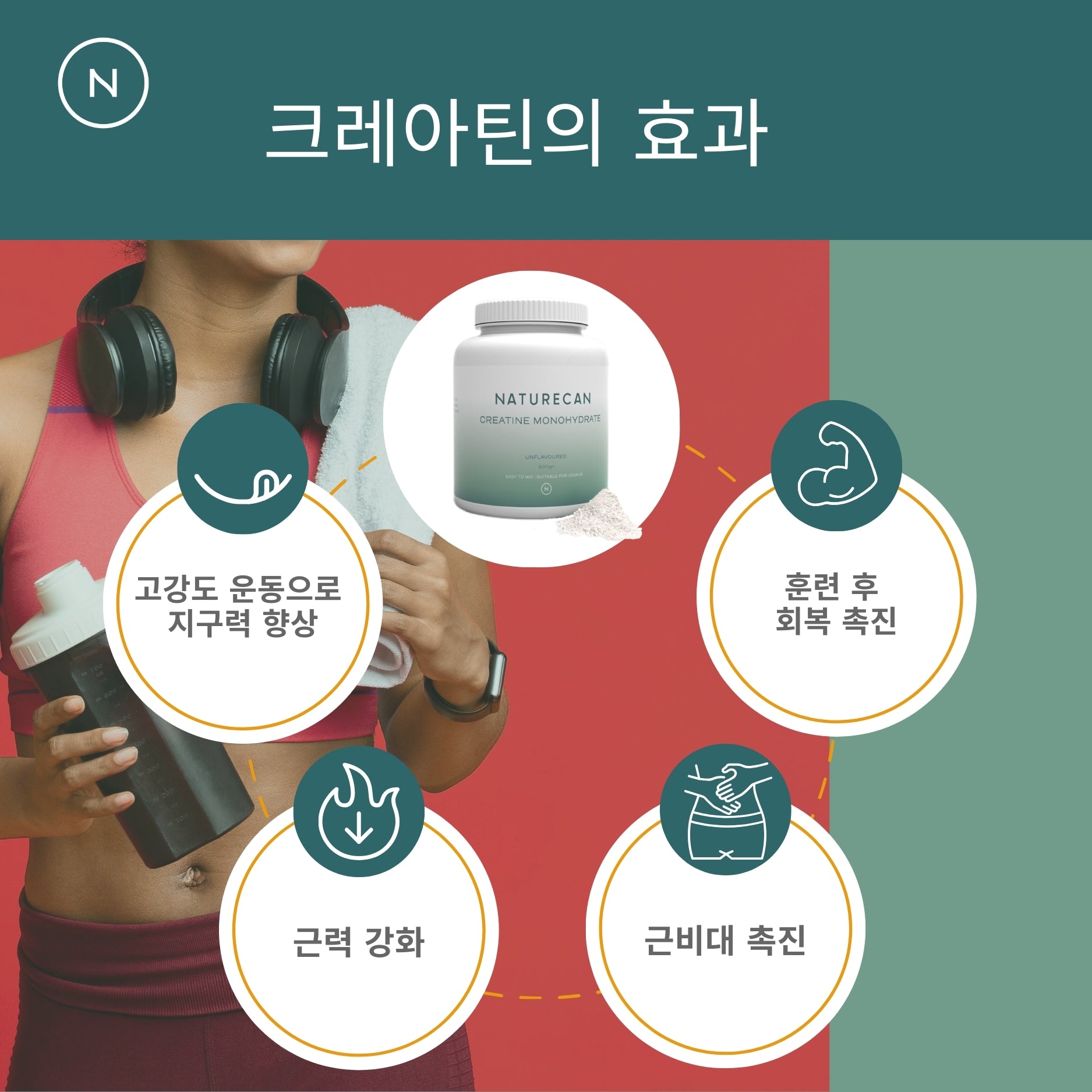 크레아틴 모노하이드레이트 500g