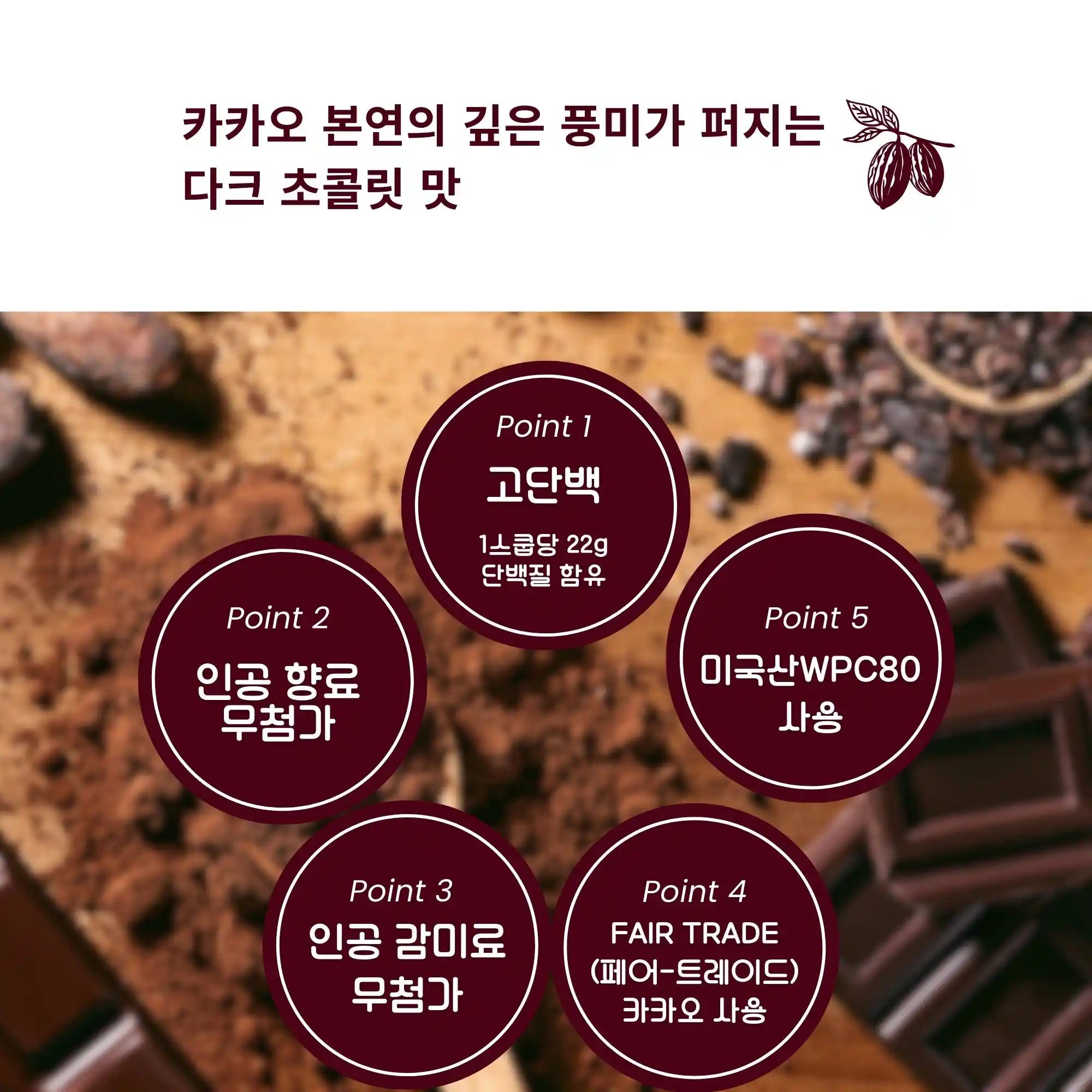 【기간 한정】웨이 프로틴(WPC) 다크 초콜릿