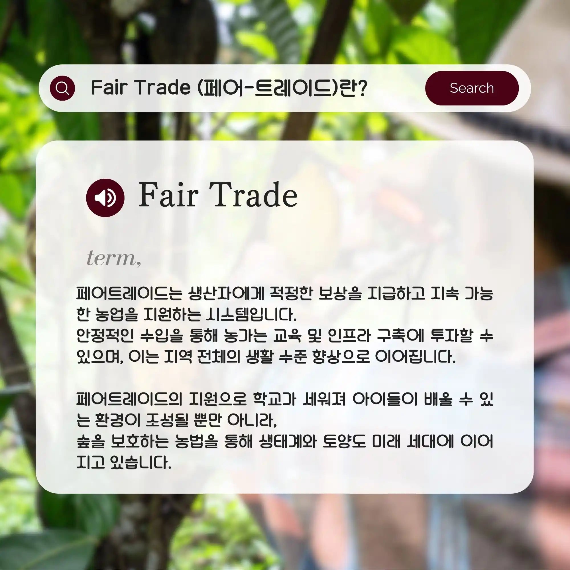 【기간 한정】웨이 프로틴(WPC) 다크 초콜릿