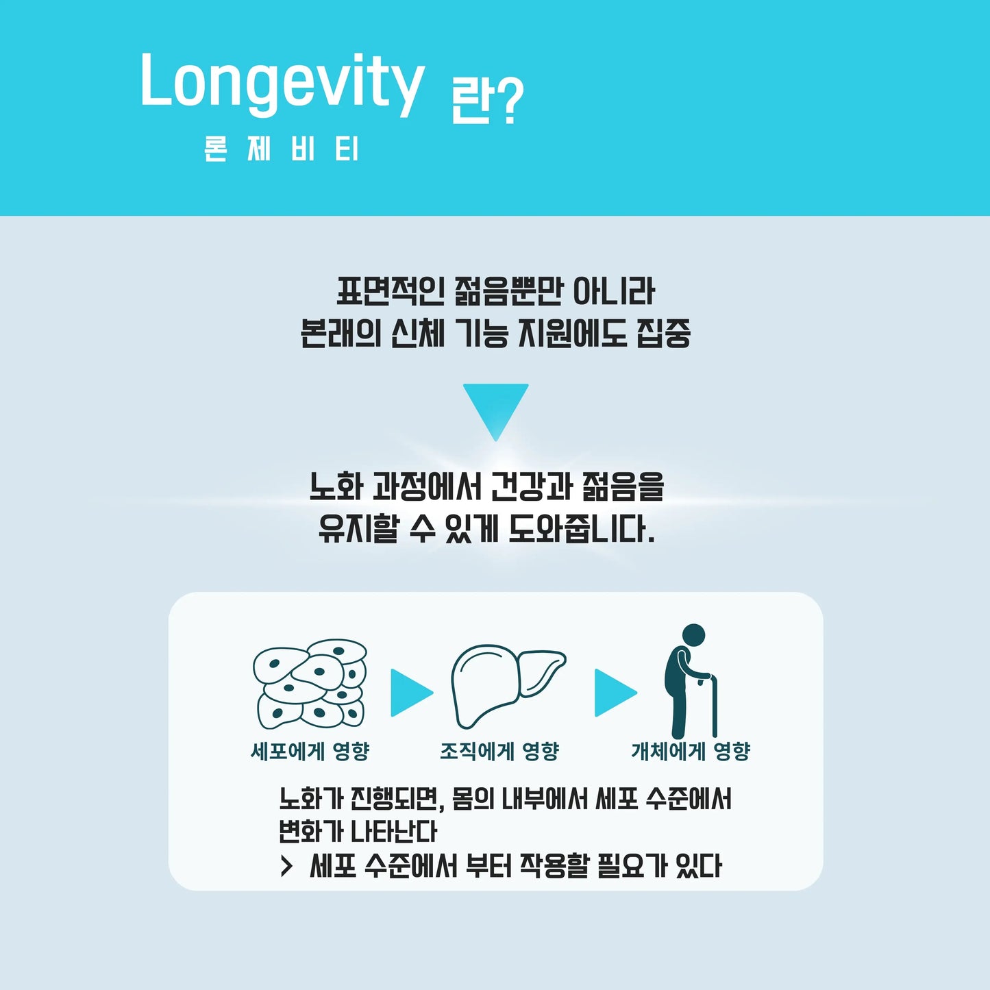 Longevity（론제비티）