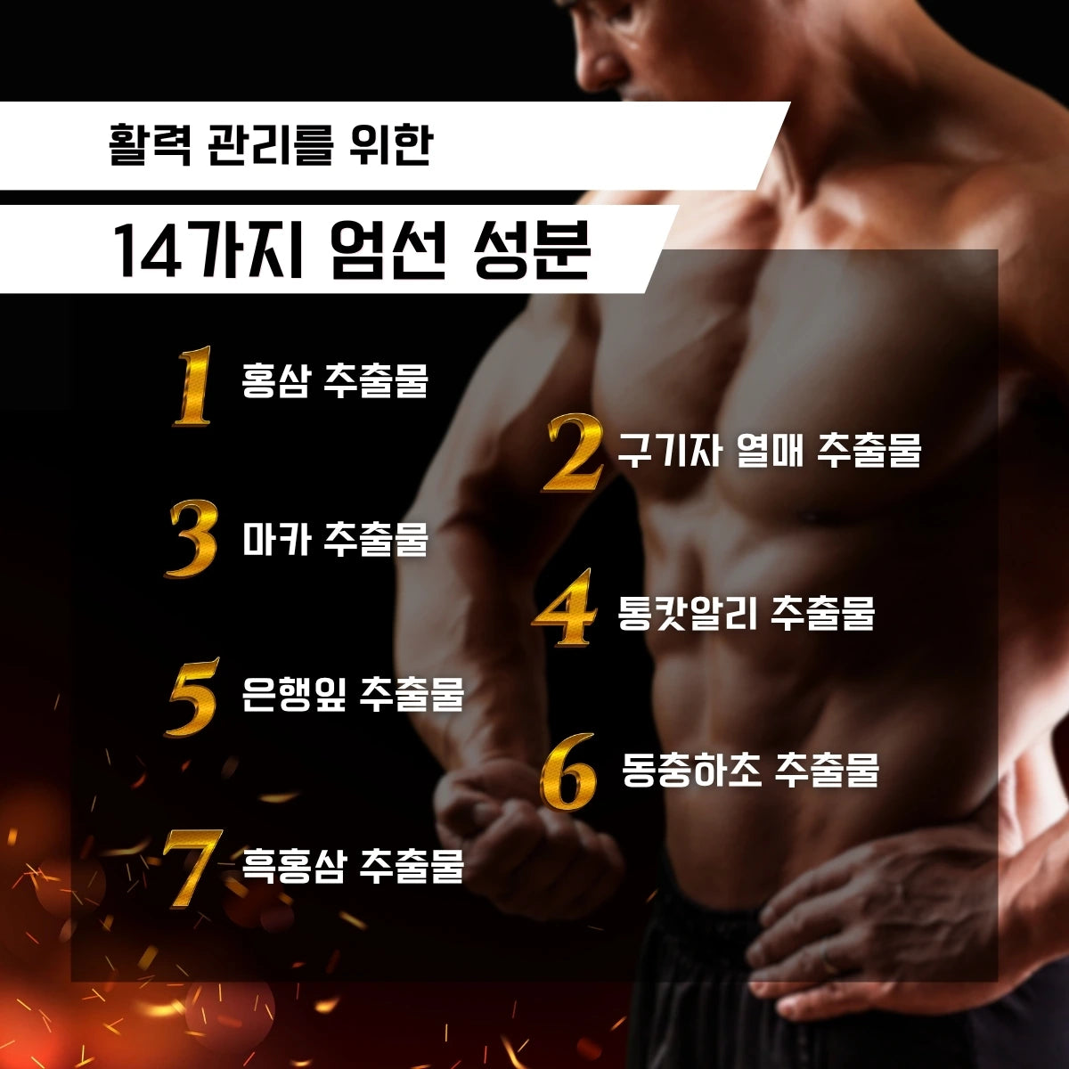 VITABOOST（비타부스트）α