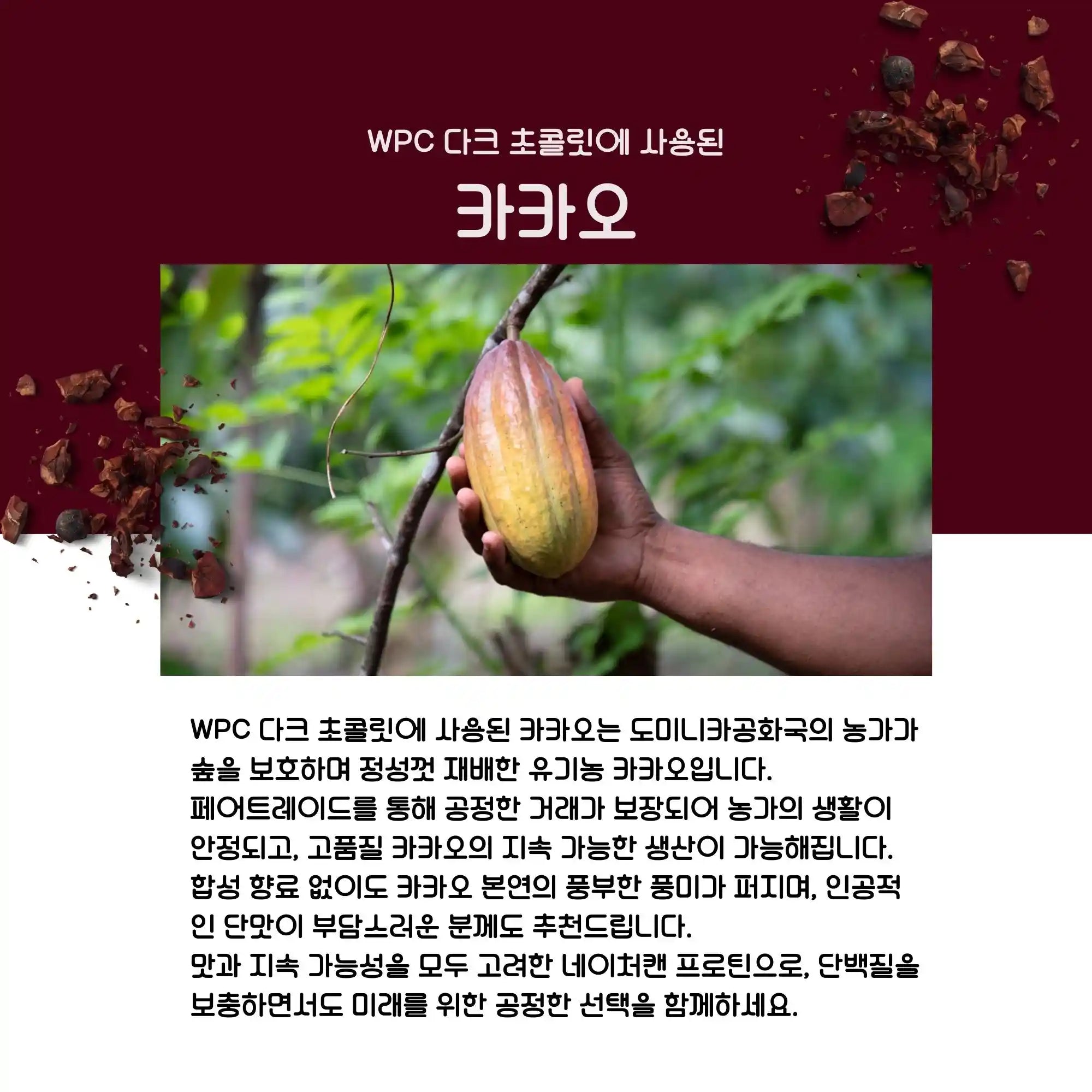 【기간 한정】웨이 프로틴(WPC) 다크 초콜릿
