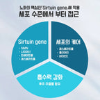 Longevity（론제비티）