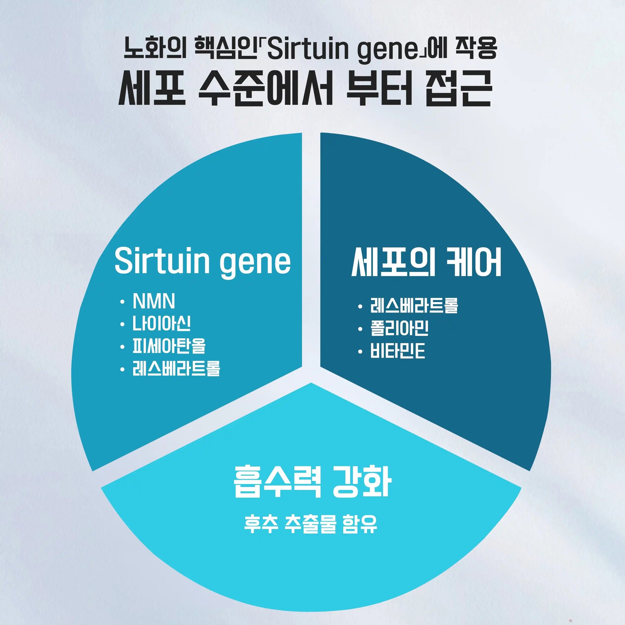 Longevity（론제비티）