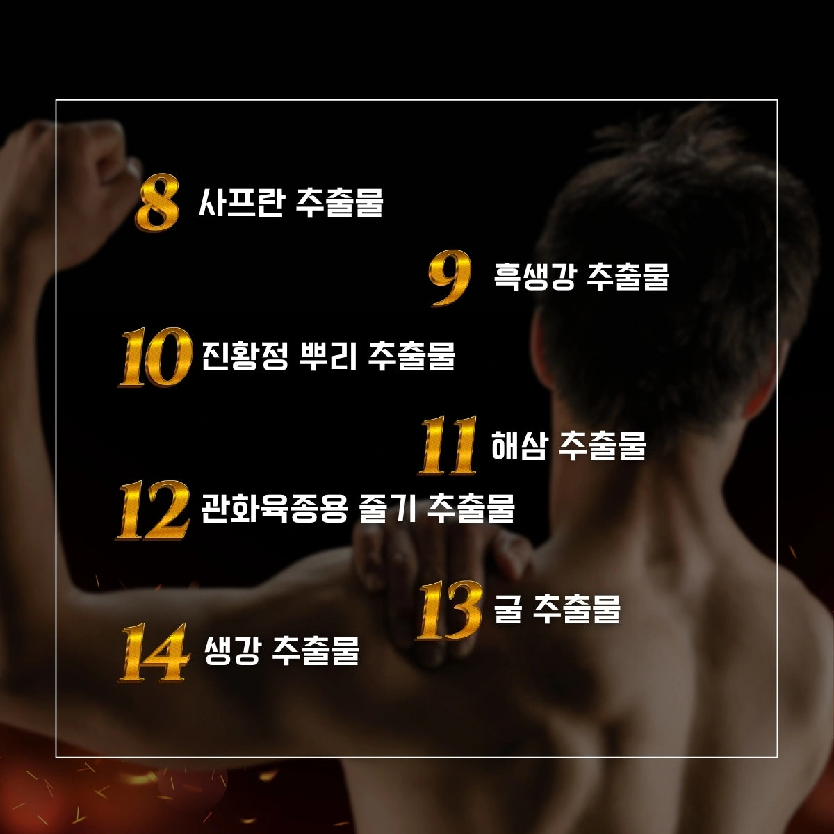 VITABOOST（비타부스트）α