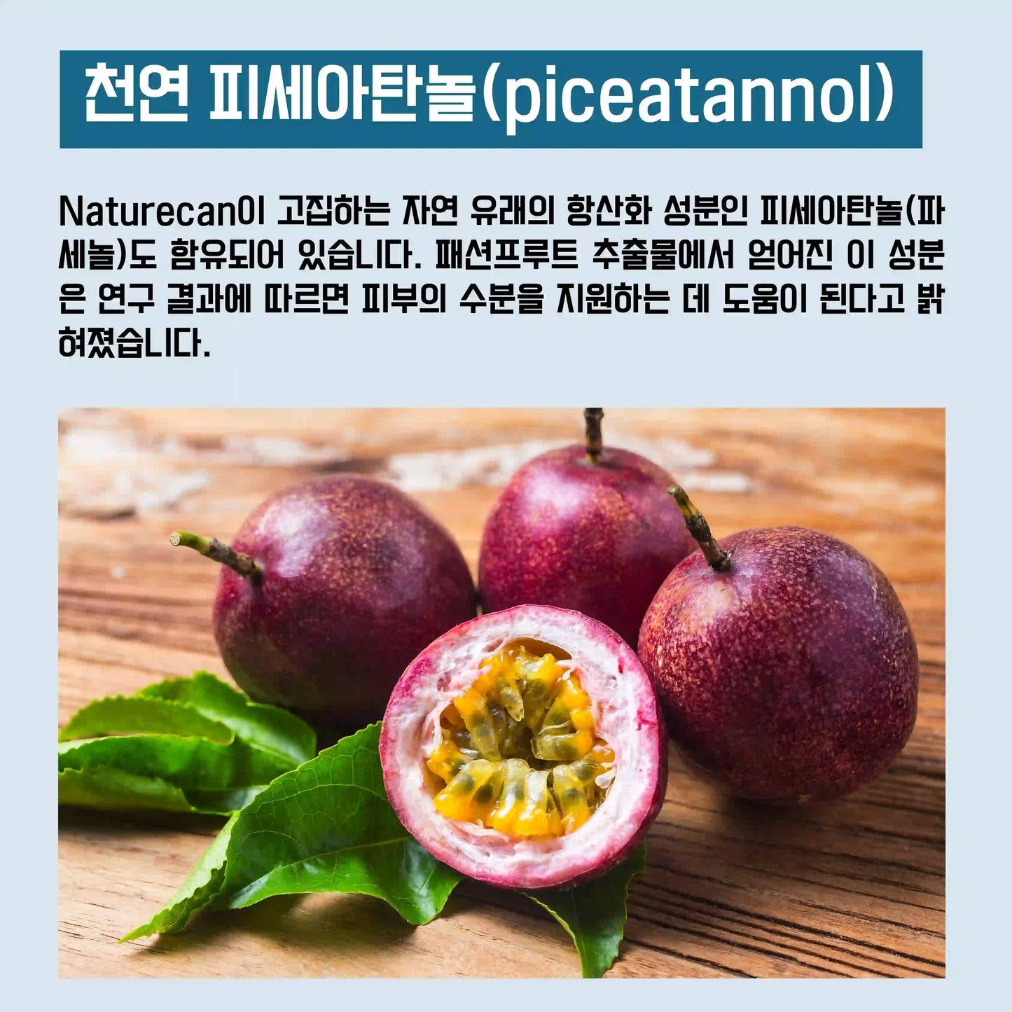 Longevity（론제비티）