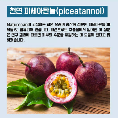 Longevity（론제비티）