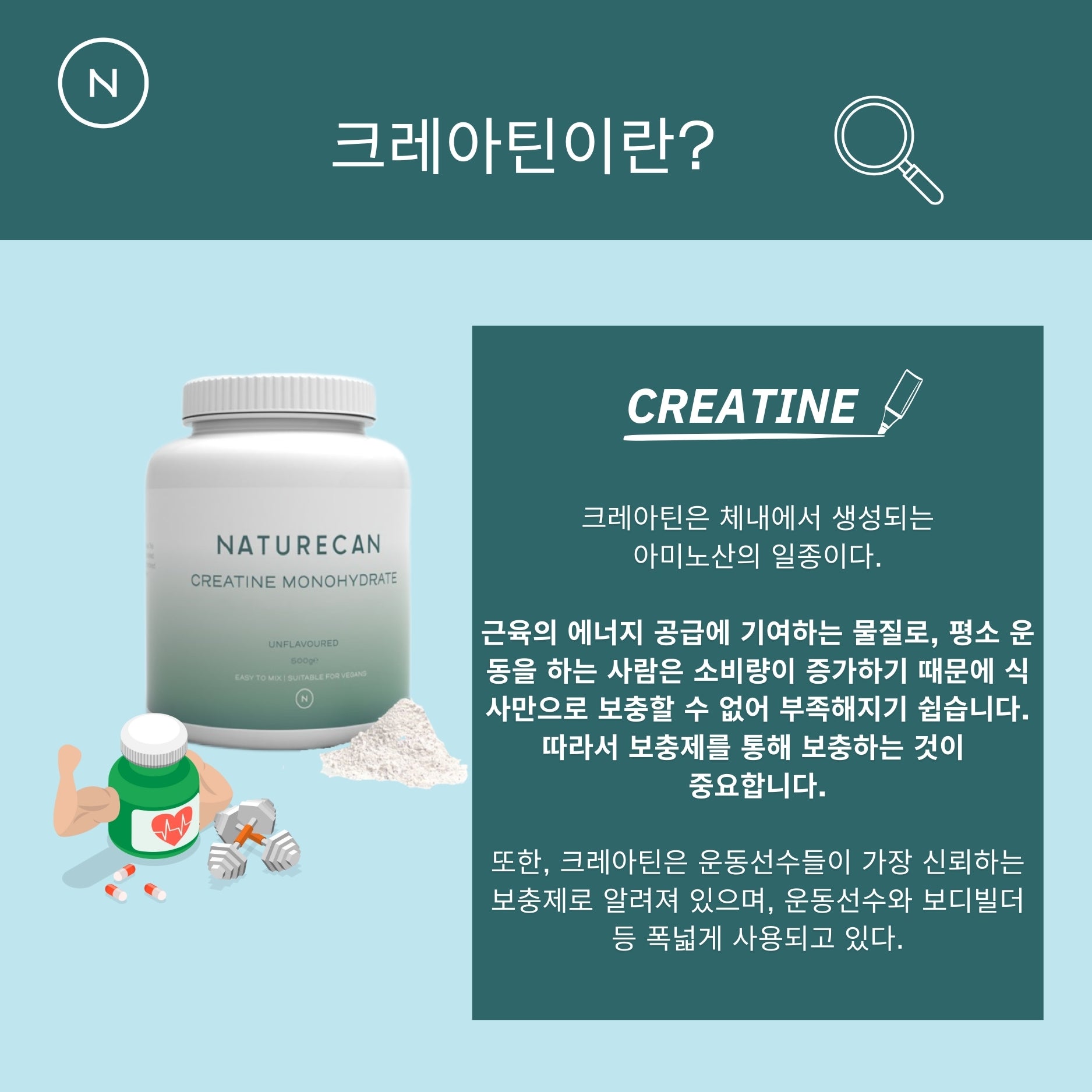 크레아틴 모노하이드레이트 500g