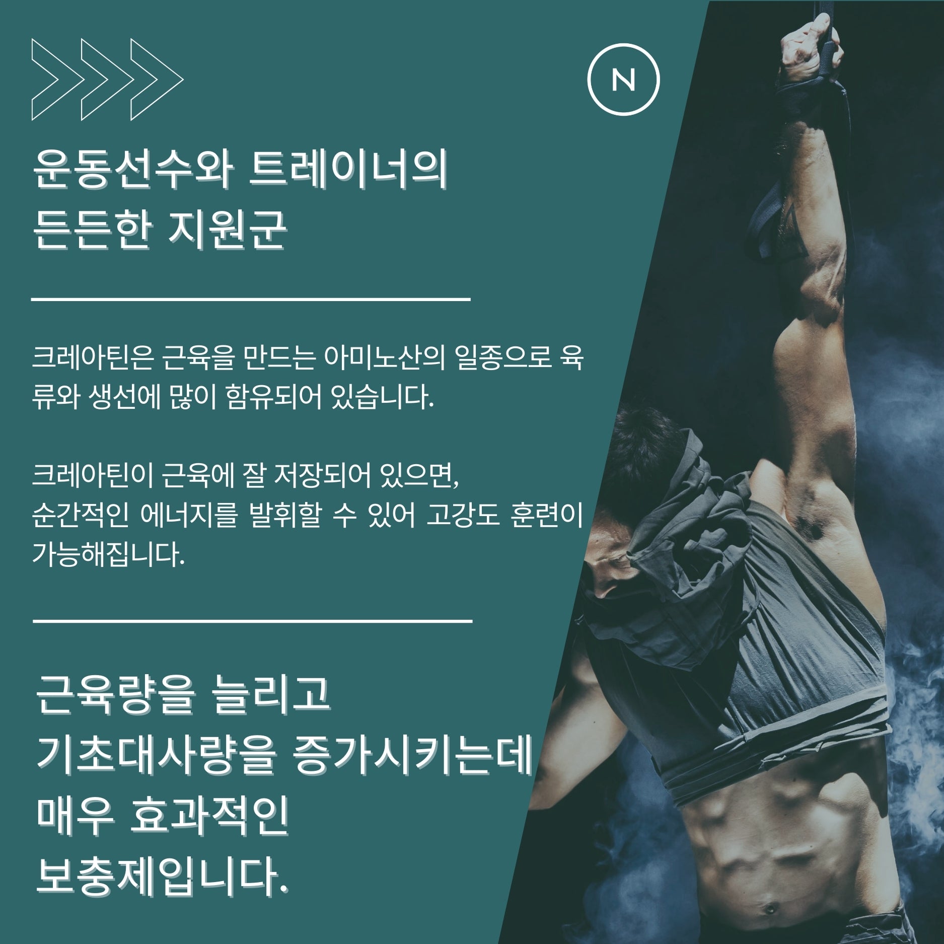 크레아틴 모노하이드레이트 500g