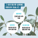 Longevity（론제비티）