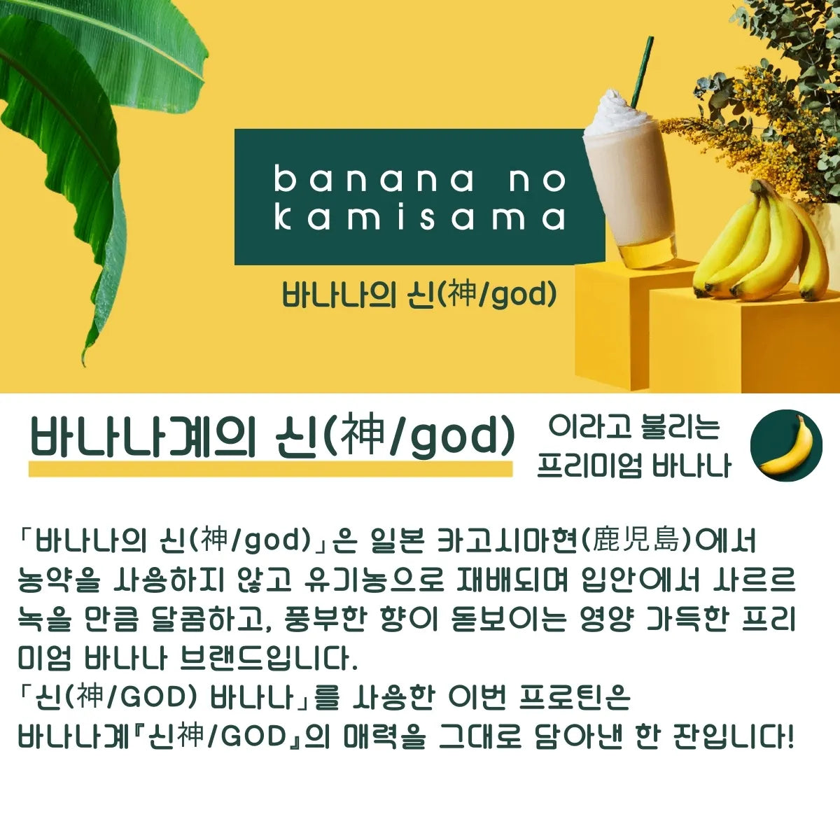 【기간 한정】웨이 프로틴(WPC) 바나나의 신(神/god)