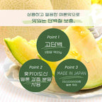 웨이 프로틴(WPC) 멜론