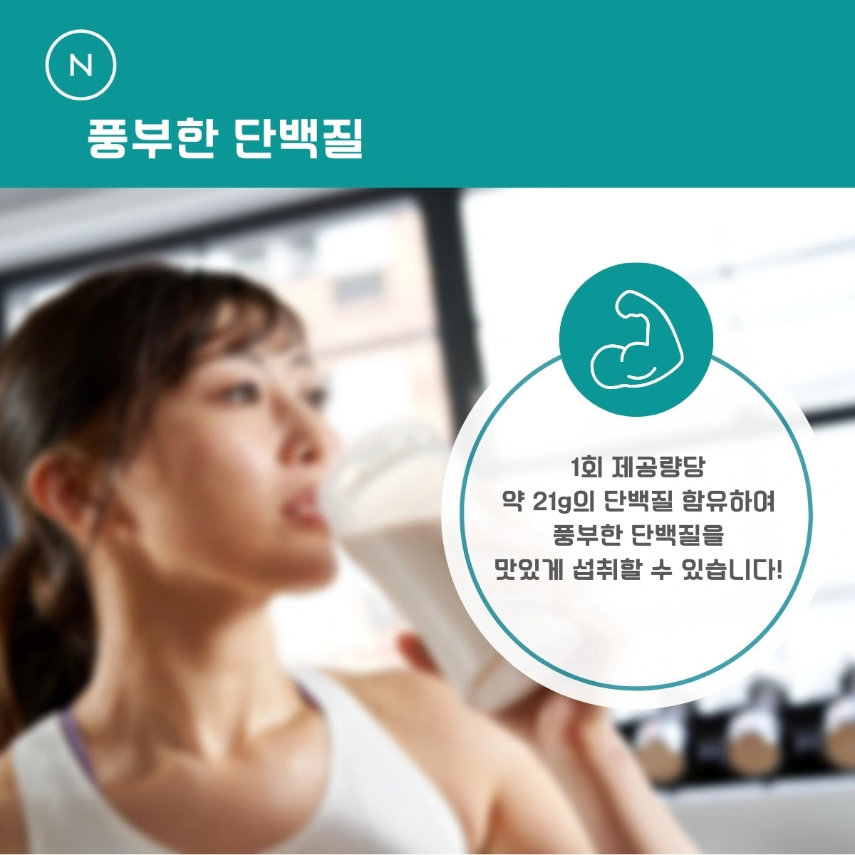 웨이 프로틴(WPC) 말차, 요거트, 초콜릿