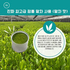 웨이 프로틴(WPC) 말차, 요거트, 초콜릿
